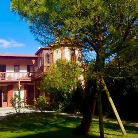 Superbe Face - 11 Pieces, 15 Pers, Jardin, Acces Direct - Fr-1-433-17 * Arcachon